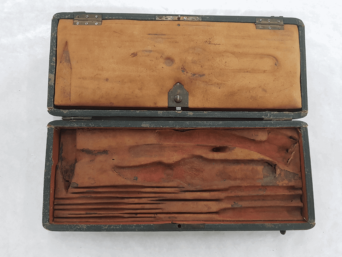 Veterinarian instrument case composed of 17 tools, including surgical blades, pliers and more.