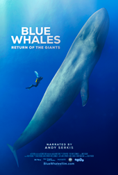 Blue-Whales-gse-poster