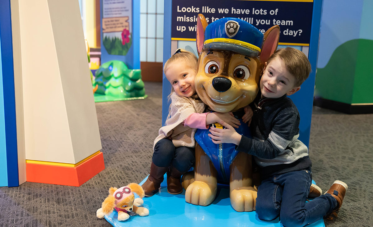 Paw patrol outlet playing